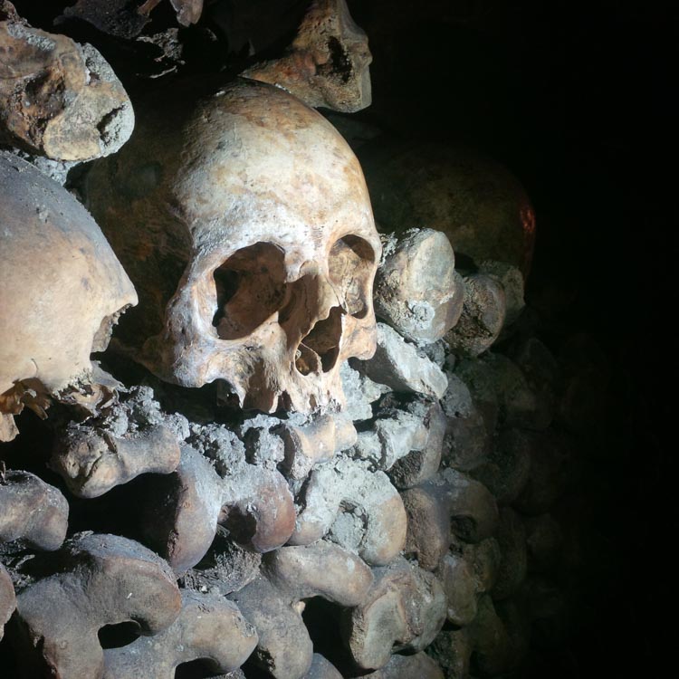 Skulls in catacombe in France.