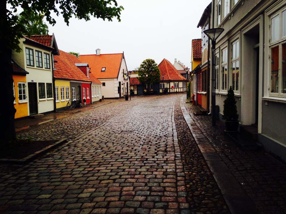 Photo of cobble stone road in Denmark.