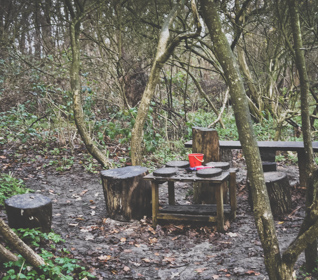 Nature classroom consisting of stools and tables in the woods