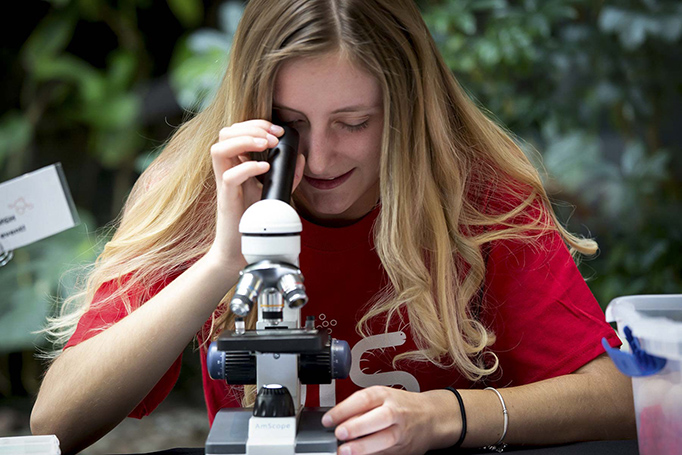 A volunteer peers through a microscope