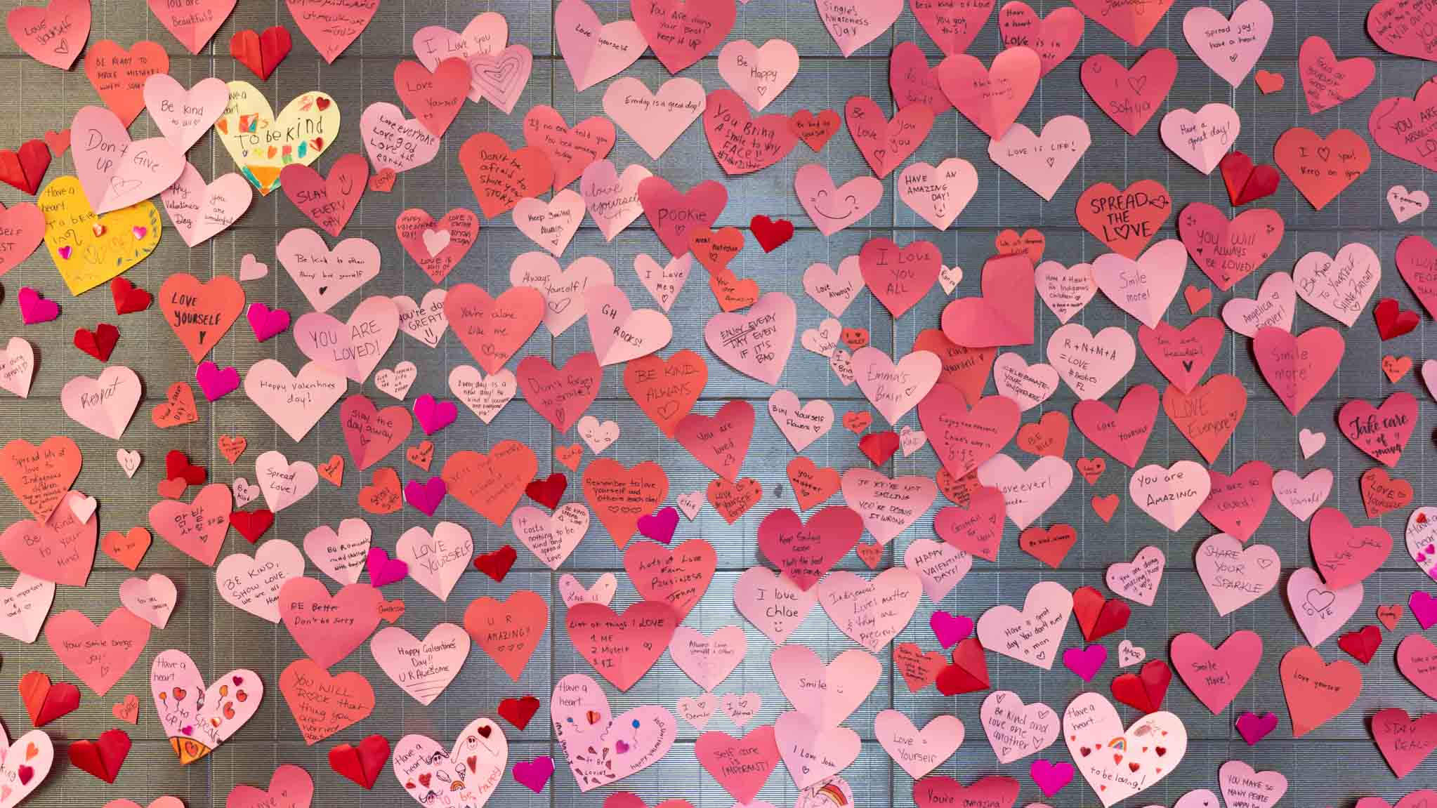 Paper hearts cover a wall at University of Guelph-Humber