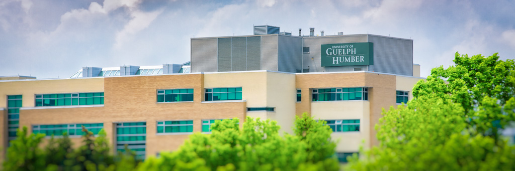 University of Guelph-Humber building.