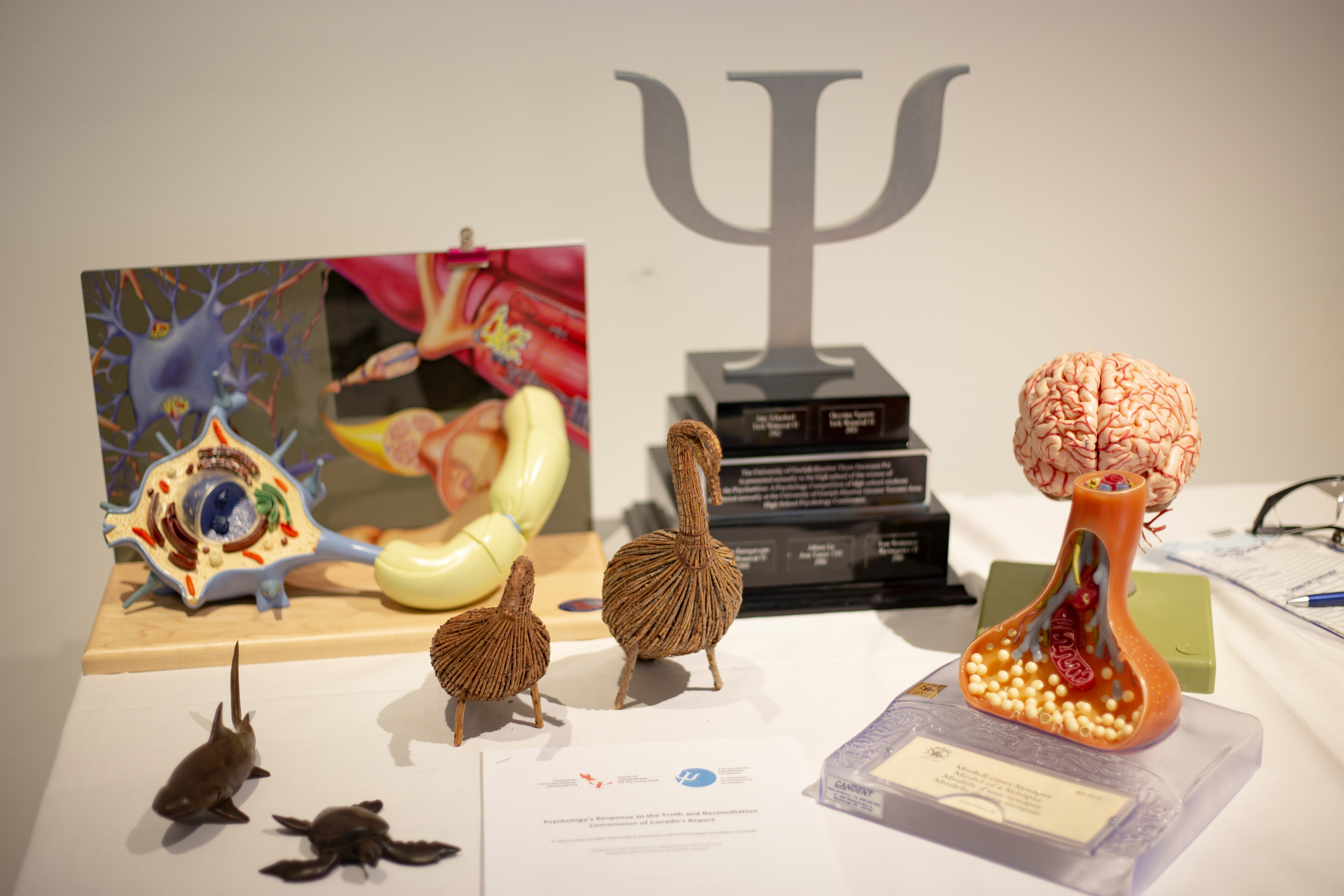Brain model and Greek letter Psi