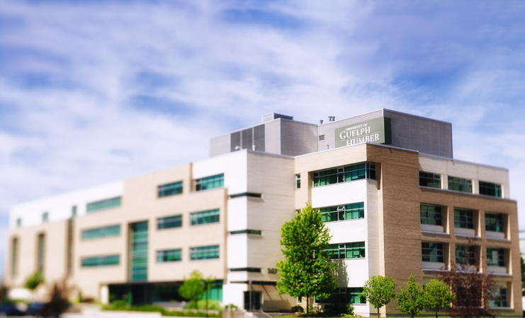 Media Studies program expands to include business - image