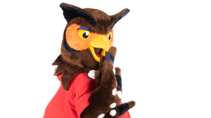 UofGH mascot Swoop