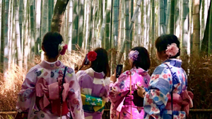 Four women in kimonos in bamboo forest