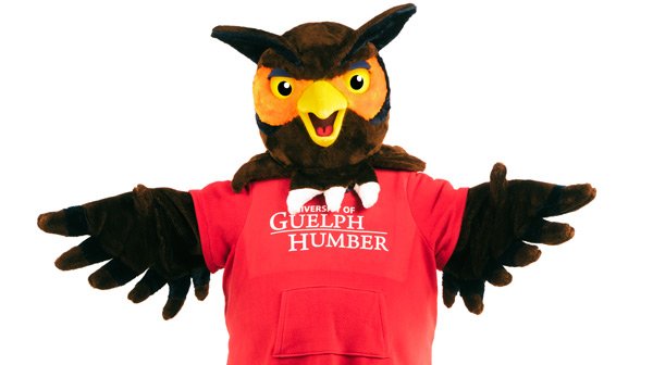 Swoop