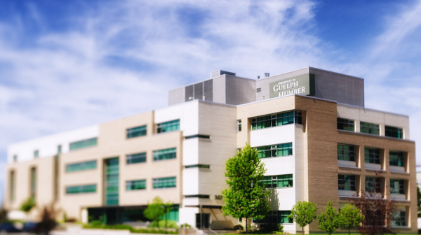 Photo of the University of Guelph-Humber.