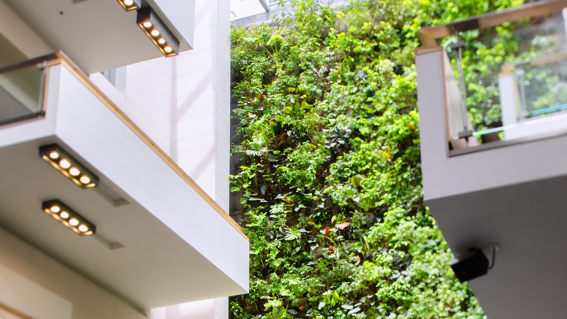 View of the plant wall and upper floor balconies of the inside of the Guelph-Humber building
