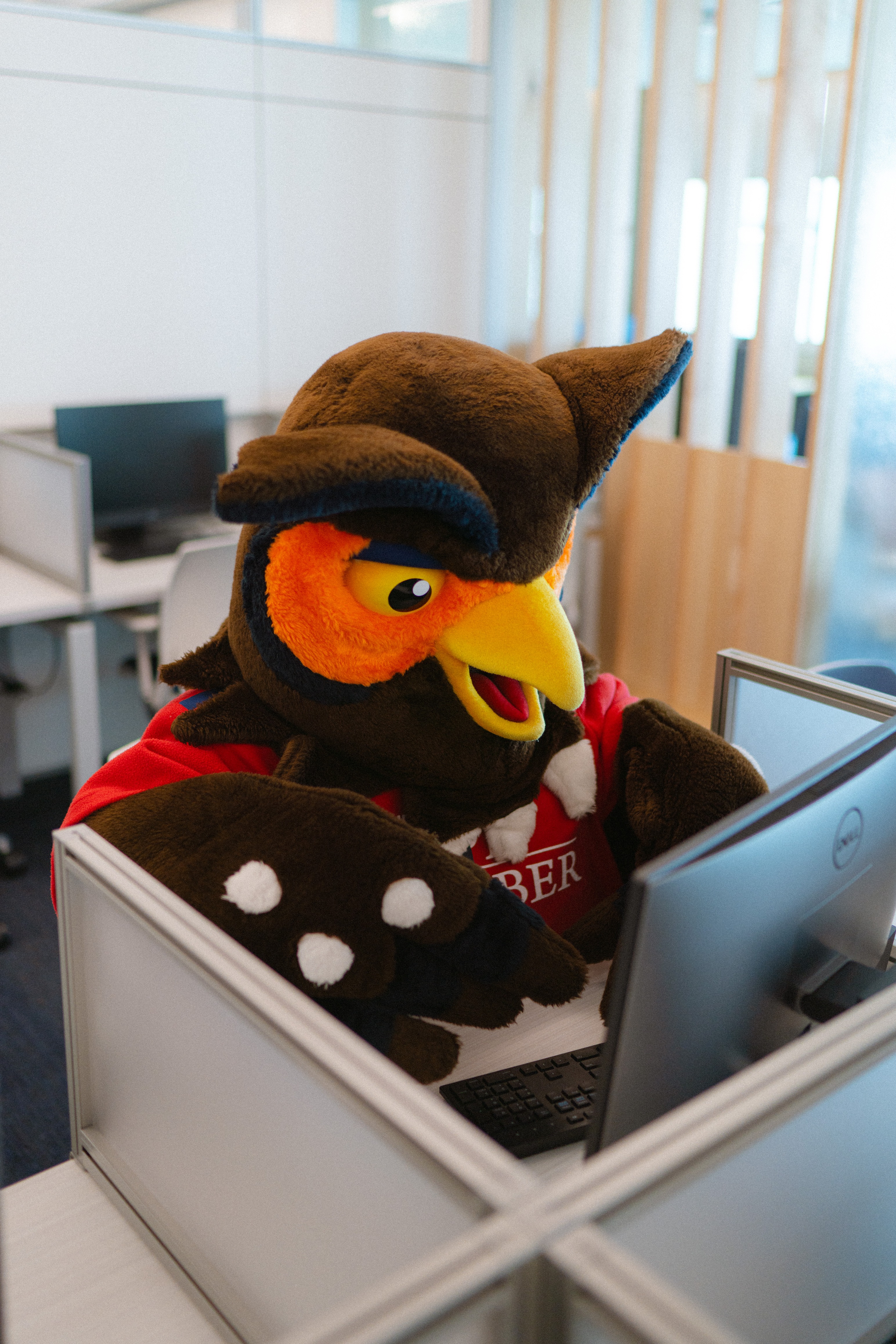 Swoop owl mascot sitting in cubicle at computer