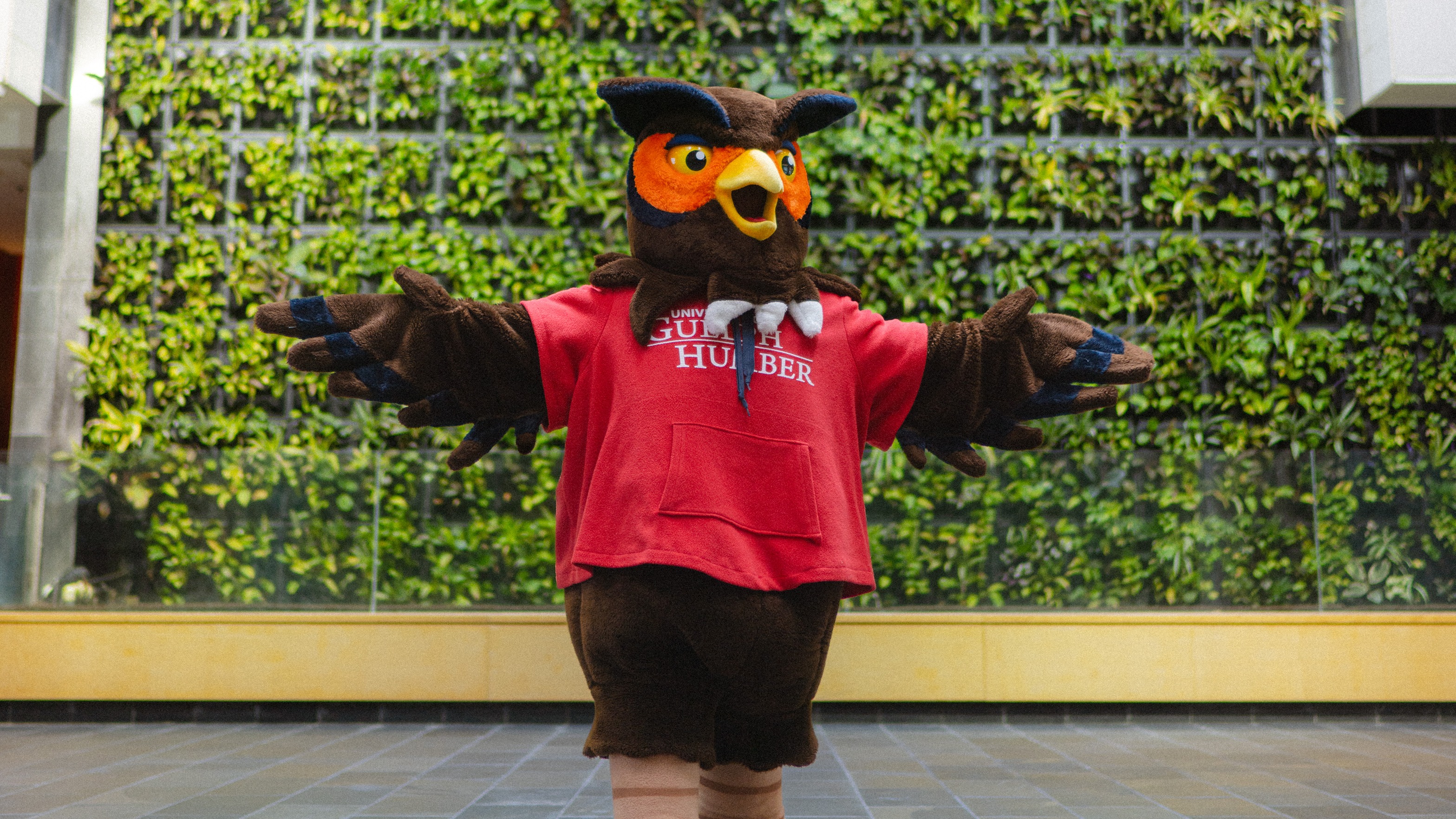 Swoop owl mascot in front of the plant wall