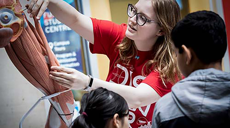 Science Rendezvous Student with muscle display
