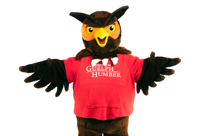 Swoop the owl mascot