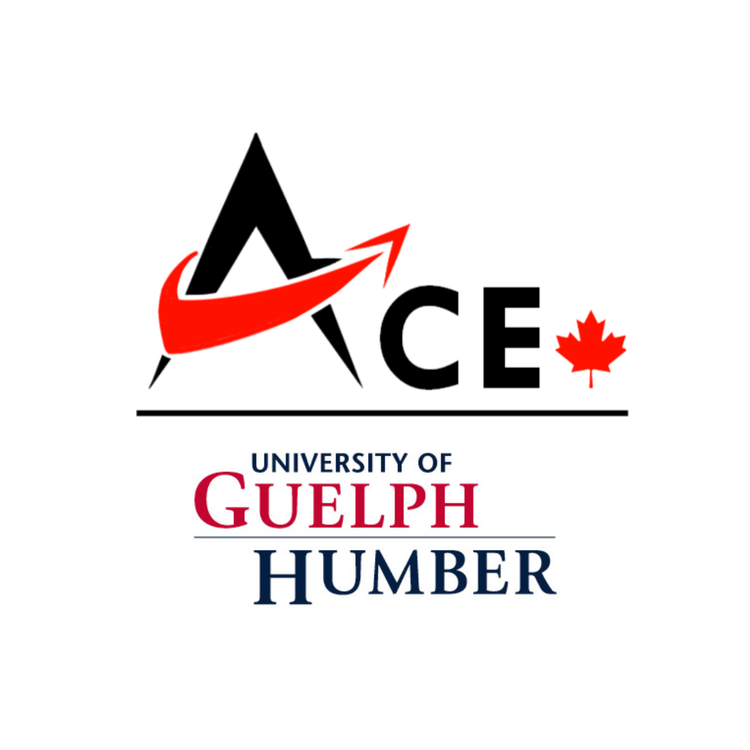 ace logo