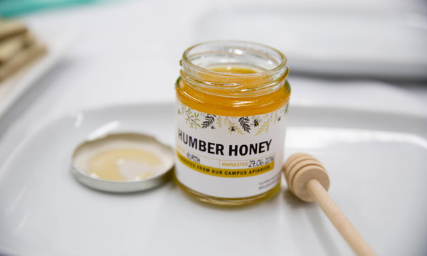 Jar of honey