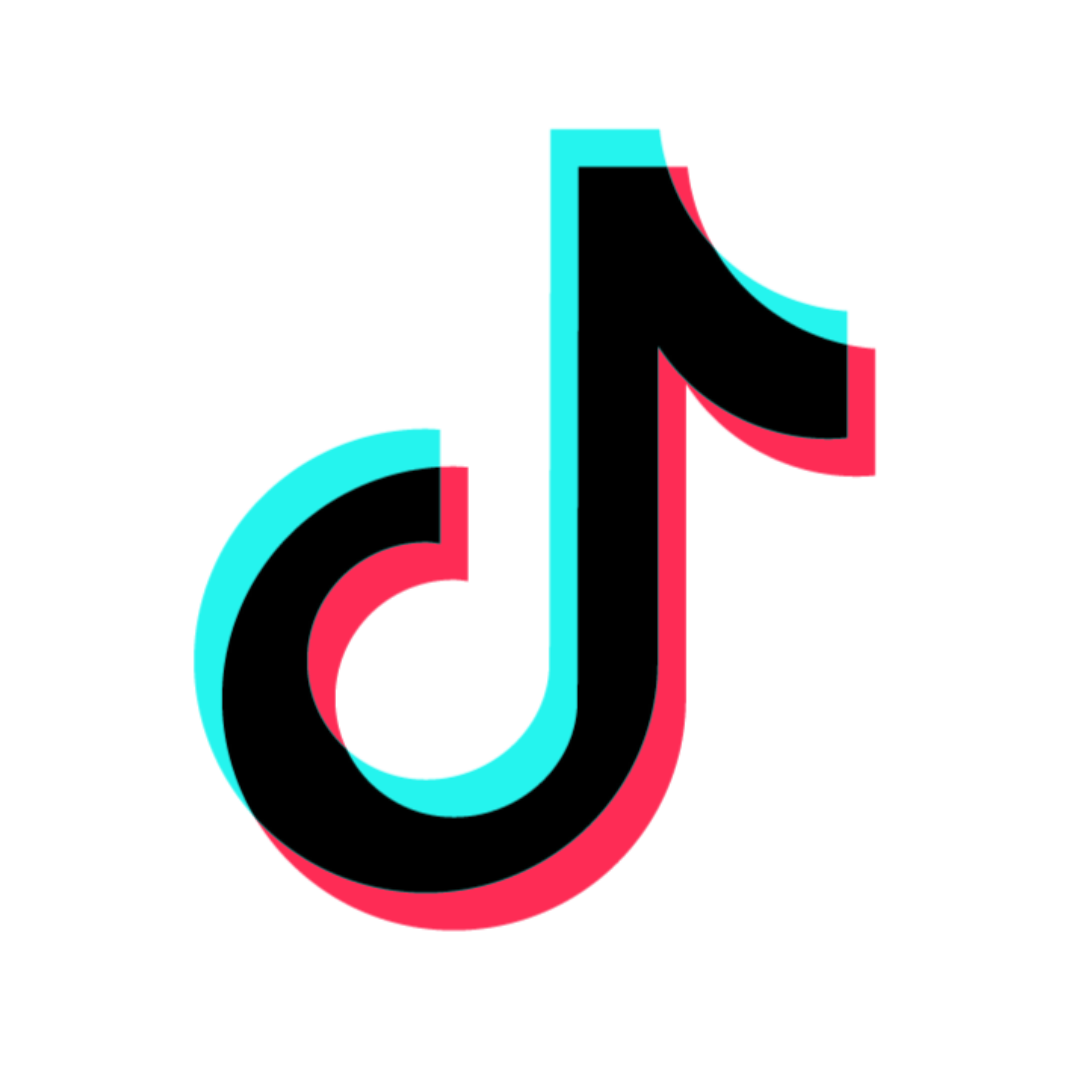 TikTok icon