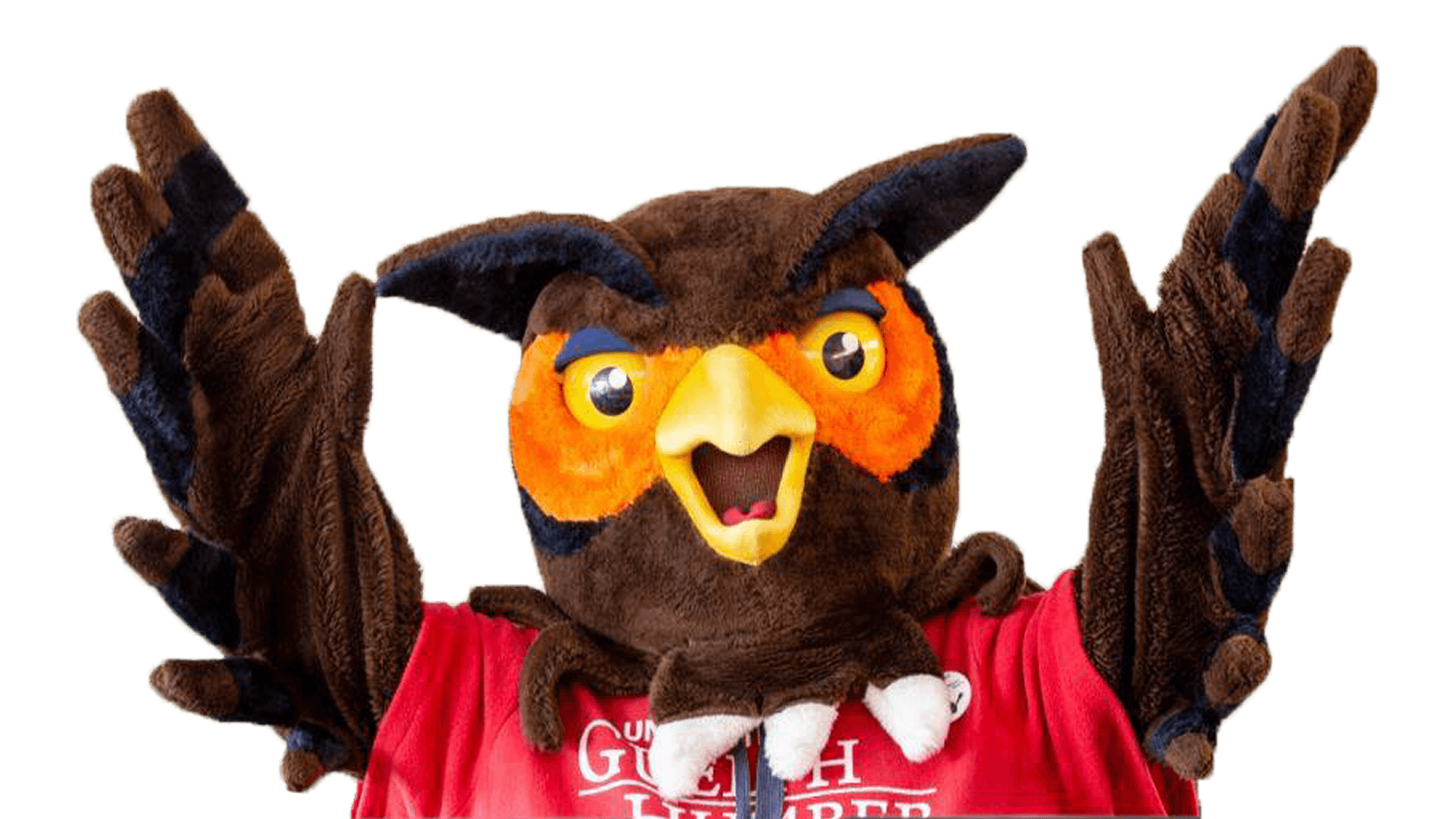 Applicant Acknowledgement guelphhumber.ca