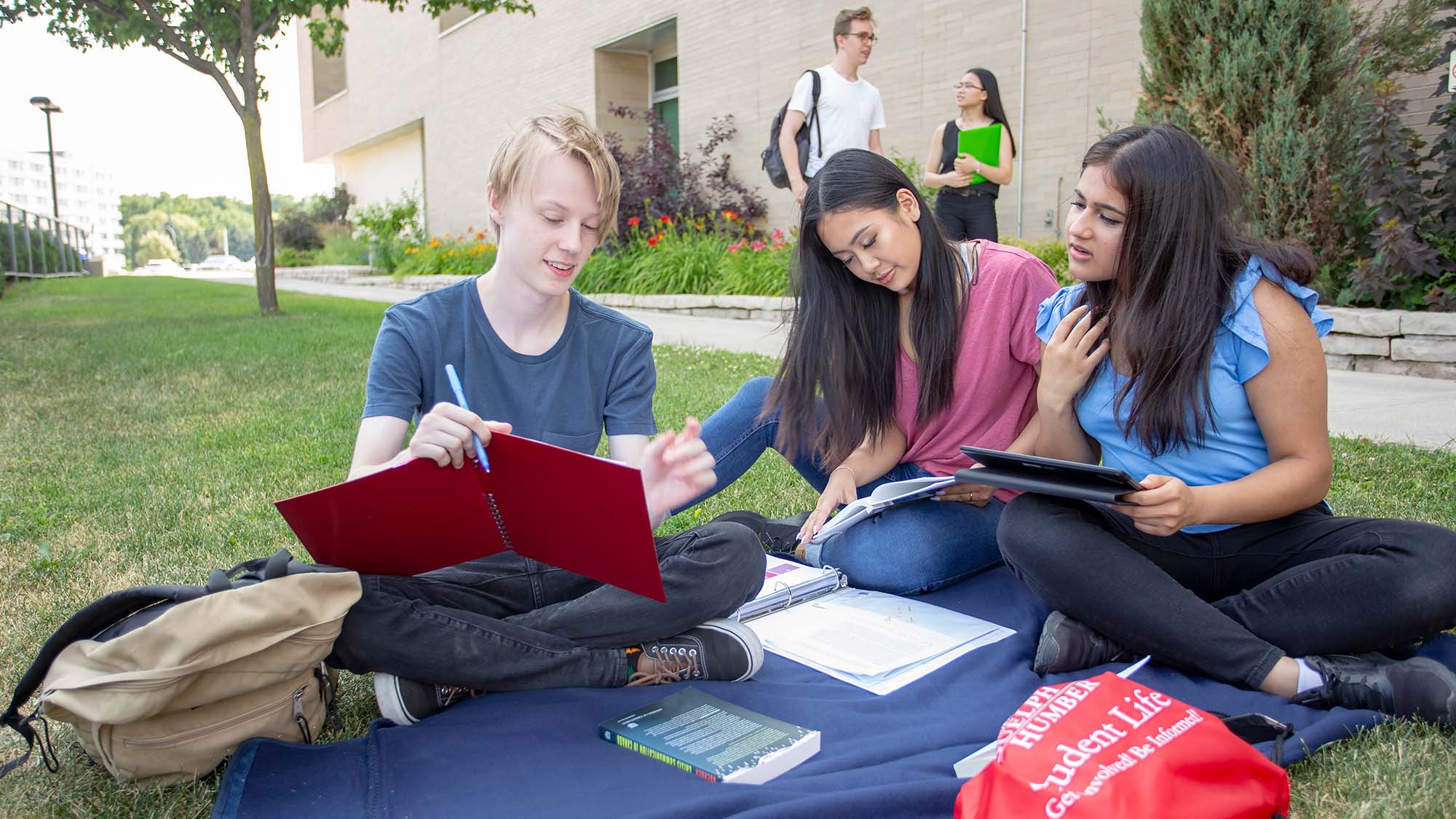 Students outside studying