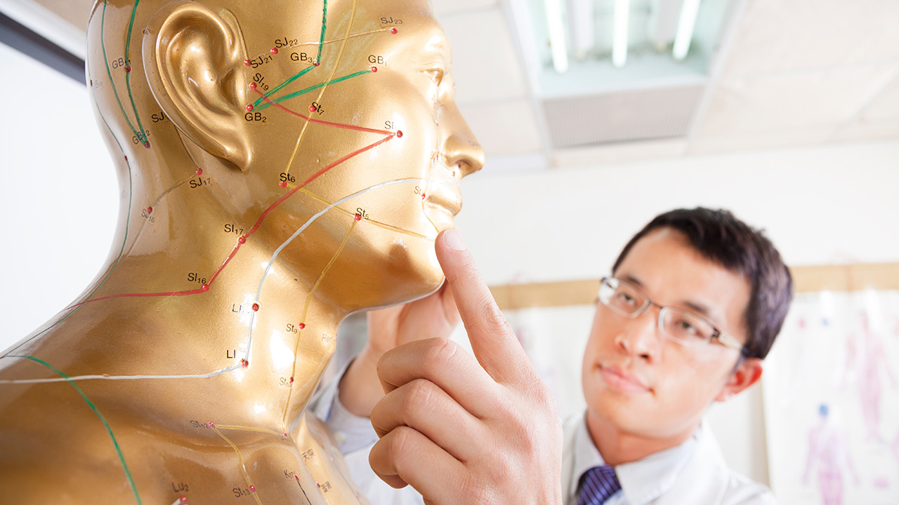 Man examining acupuncture mannequin
