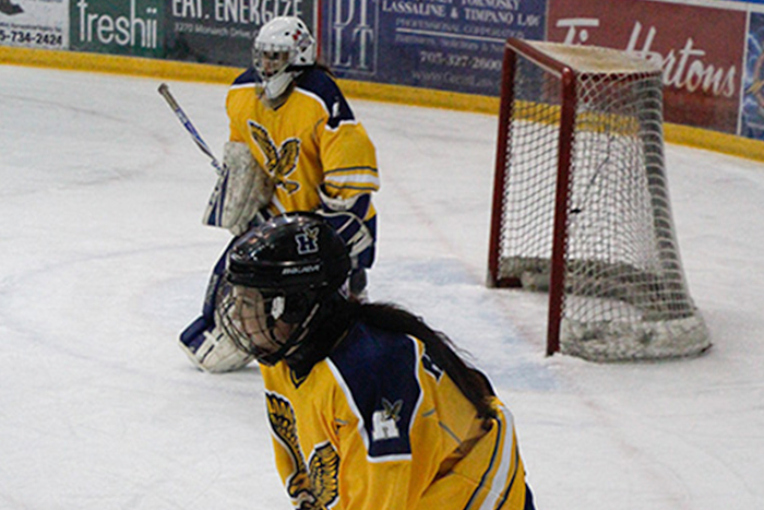 Hockey goalie