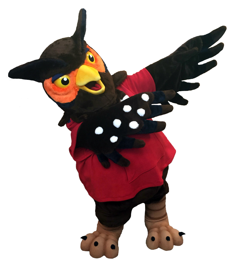 mascot swoop encouraging applications