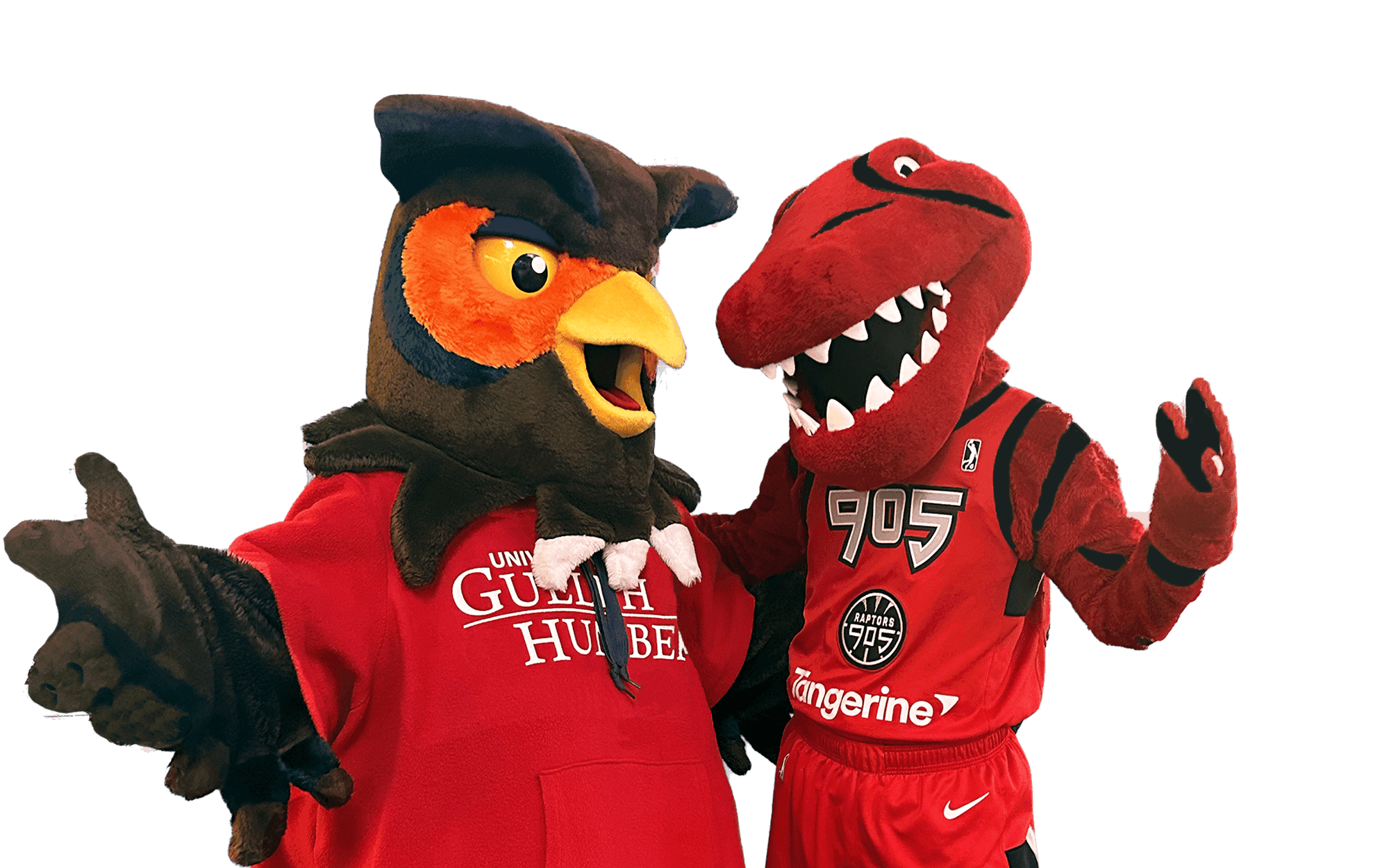 Mascots Stripes and Swoop