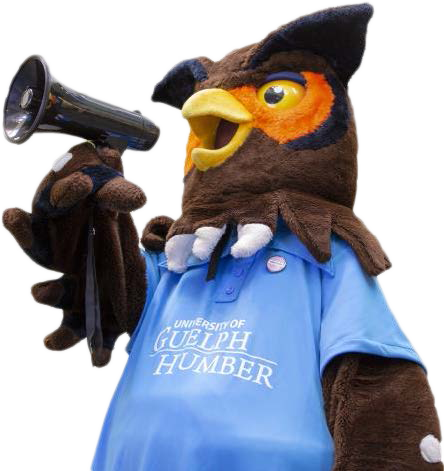 Swoop and student guide