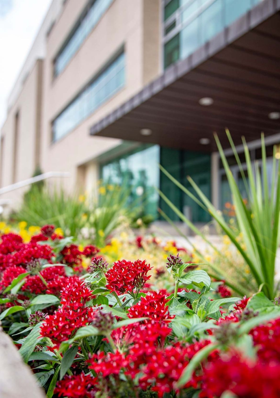 U of GH building with flowers outside