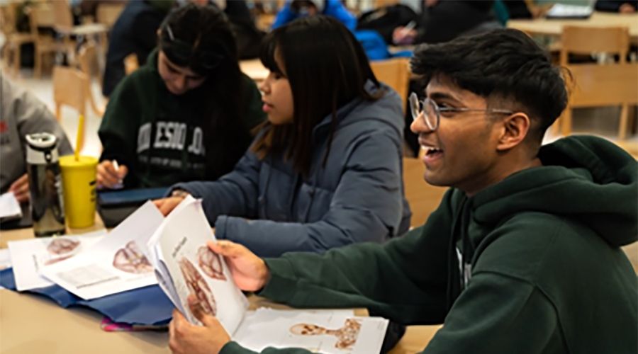 Students looking at anatomy drawings