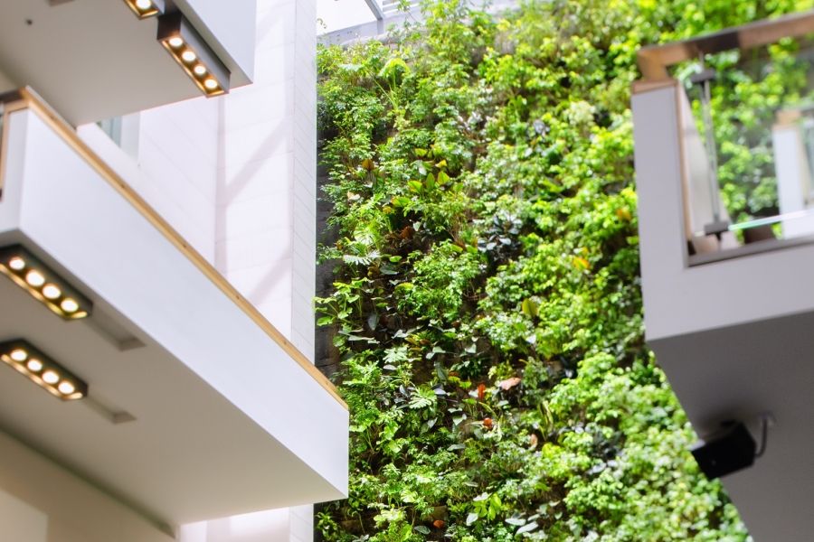 View of the plant wall and upper floor balconies of the inside of the Guelph-Humber building