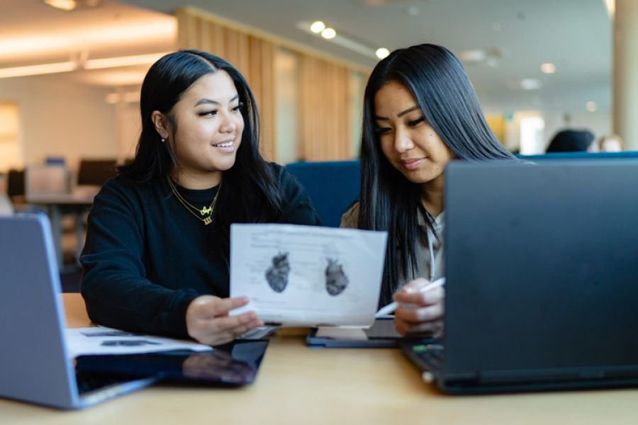 Two people studying while looking at the same notes with two laptops in front of them