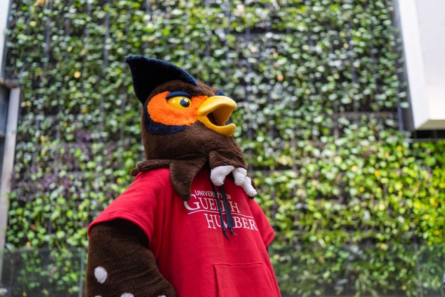 Swoop mascot in front of plant wall
