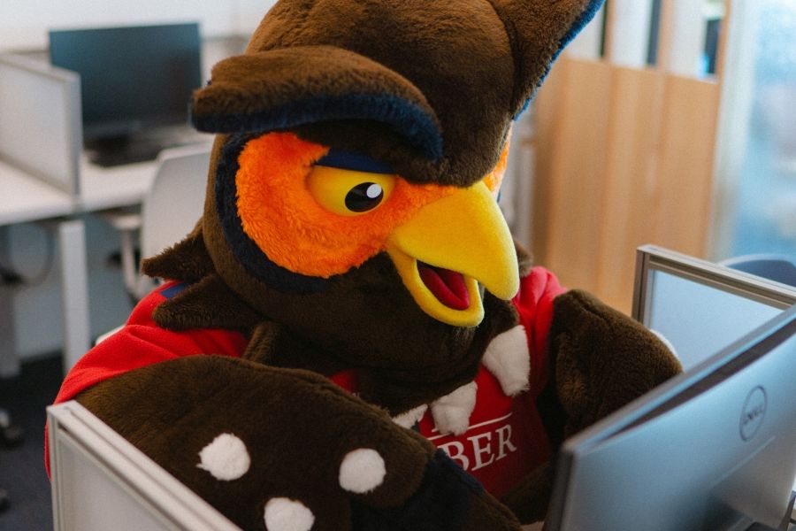 Swoop owl mascot sitting in cubicle at computer