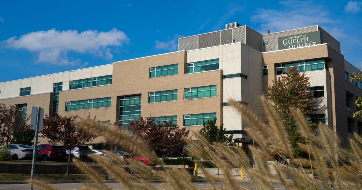 Campus Tours University of Guelph Humber